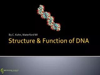 Structure &amp; Function of DNA