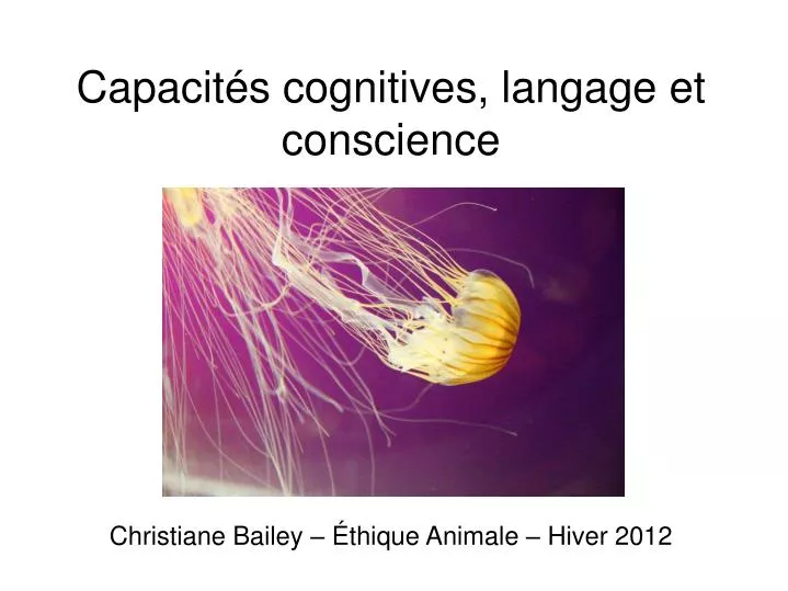 capacit s cognitives langage et conscience