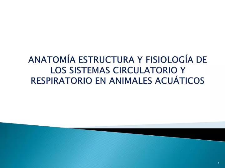 anatom a estructura y fisiolog a de los sistemas circulatorio y respiratorio en animales acu ticos