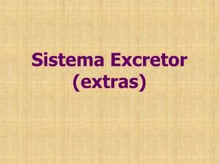 sistema excretor extras