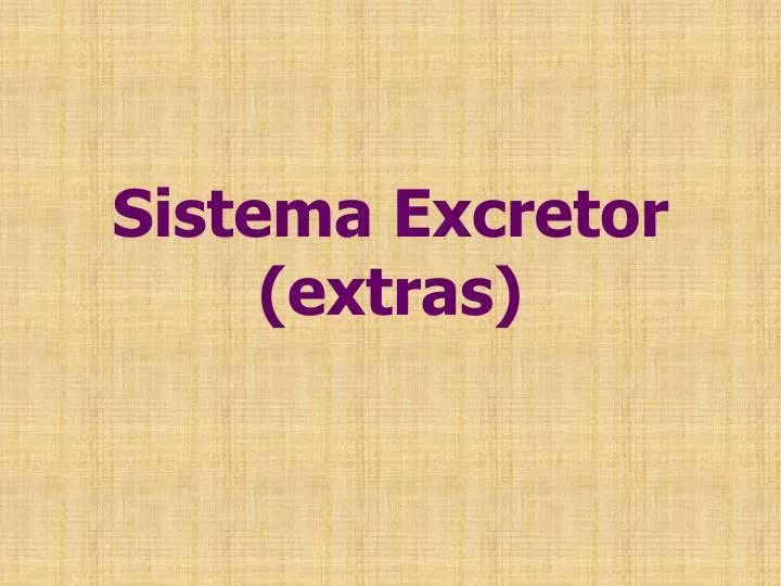sistema excretor extras