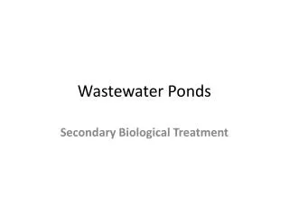 Wastewater Ponds