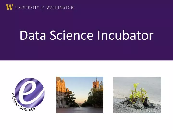 data science incubator