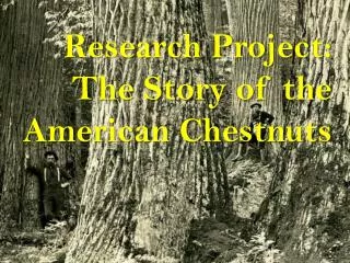 Research Project: The Story of the American Chestnuts