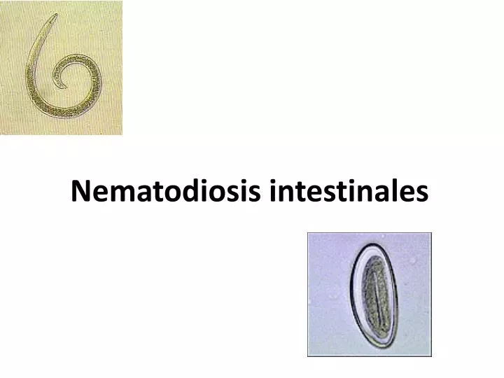 nematodiosis intestinales