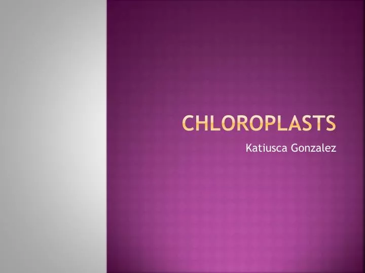 chloroplasts