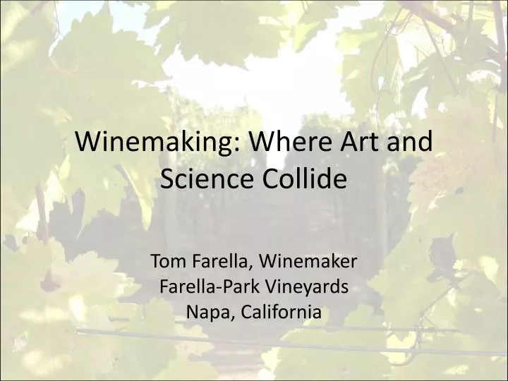 winemaking where art and science collide