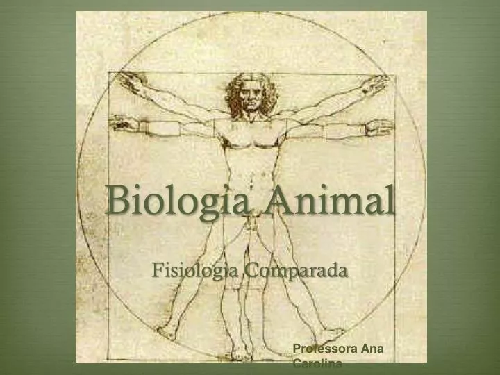 biologia animal