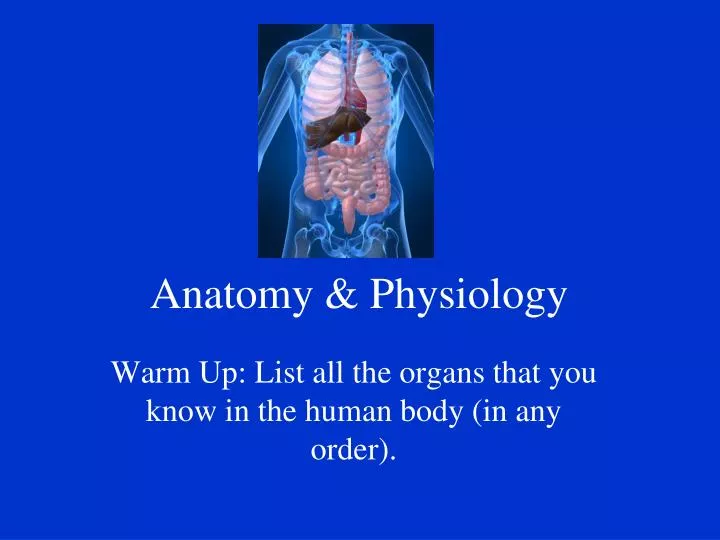 anatomy physiology