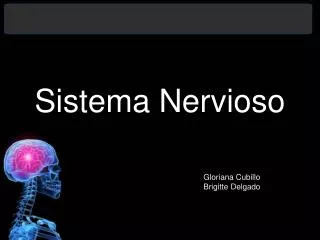 sistema nervioso