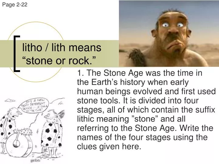 litho lith means stone or rock