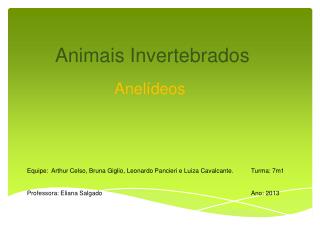 animais invertebrados