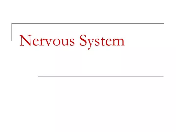 nervous system