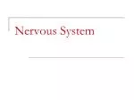 Nervous System - slide 1