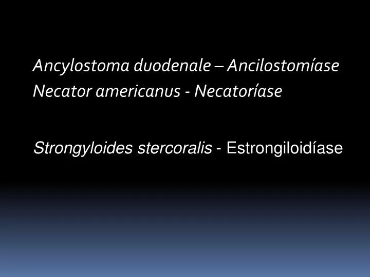 ancylostoma duodenale ancilostom ase necator americanus necator ase