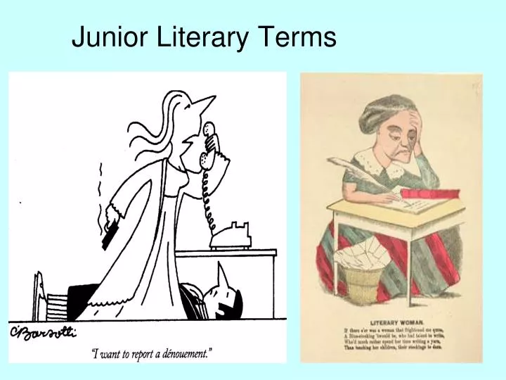 junior literary terms