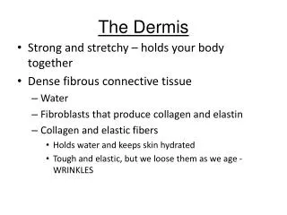 The Dermis