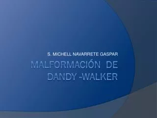 s michell navarrete gaspar