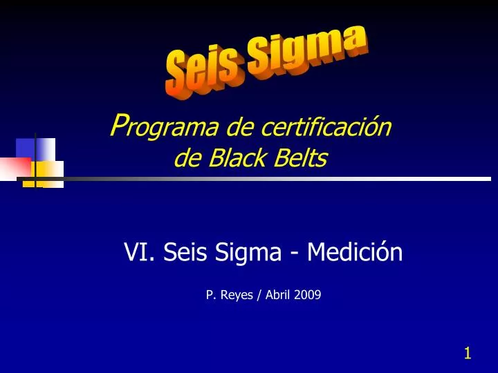 p rograma de certificaci n de black belts