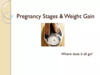 Pregnancy Stages &amp; Weight Gain