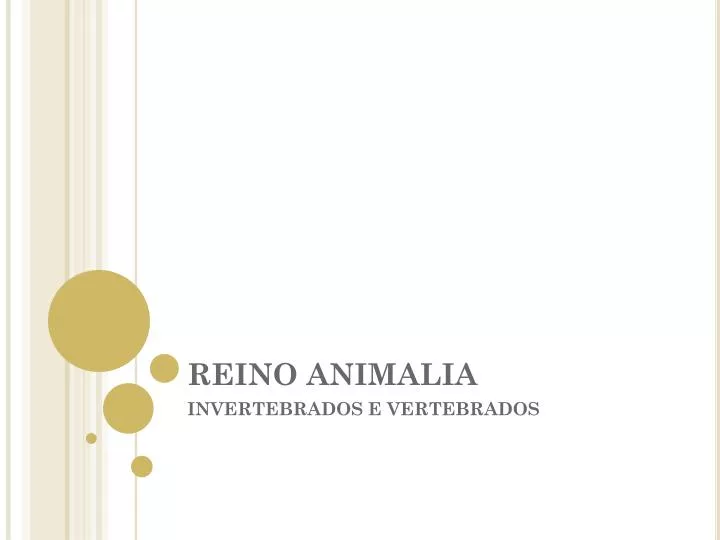 reino animalia