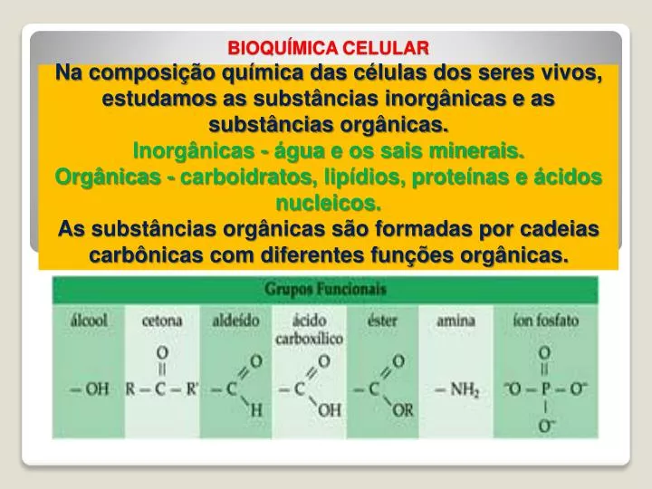 Ph neutro high letra