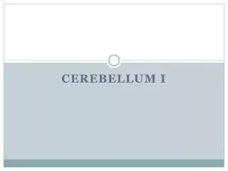 Cerebellum I