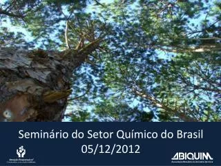 Seminário do Setor Químico do Brasil 05/12/2012