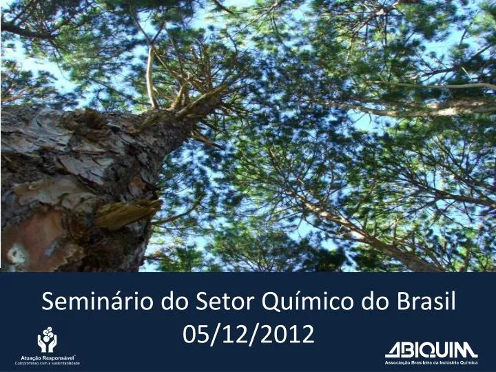 semin rio do setor qu mico do brasil 05 12 2012