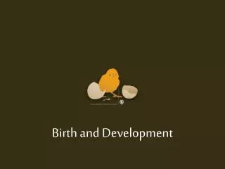 Birth and Development