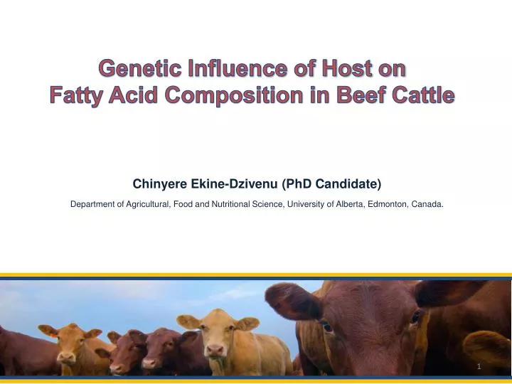 genetic influence of host on fatty acid composition in beef cattle
