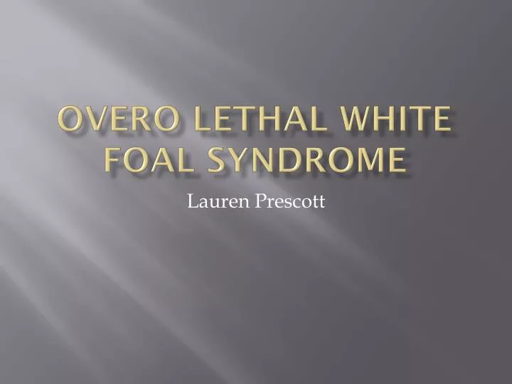 overo lethal white foal syndrome