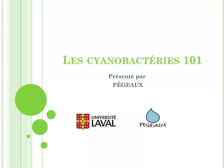 les cyanobact ries 101