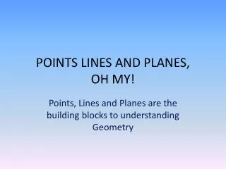 POINTS LINES AND PLANES, OH MY!