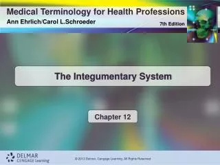 The Integumentary System