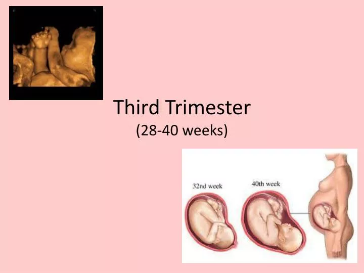 third trimester 28 40 weeks
