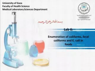 Lab 6: Enumeration of coliforms, fecal coliforms and E. coli in foods