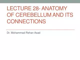 LECTURE 28- ANATOMY OF CEREBELLUM AND ITS CONNECTIONS