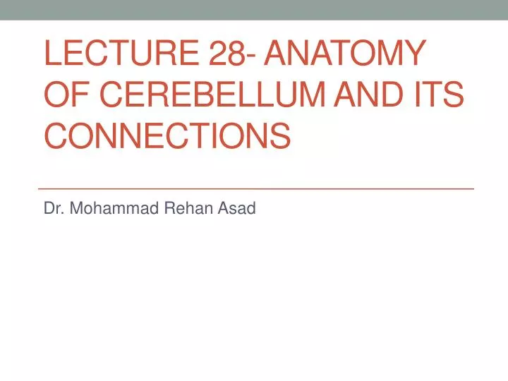 lecture 28 anatomy of cerebellum and its connections