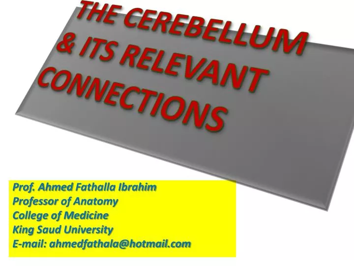 the cerebellum its relevant connections