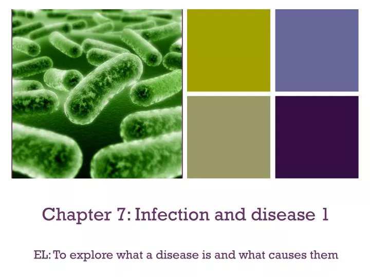 chapter 7 infection and disease 1 el to explore what a disease is and what causes them