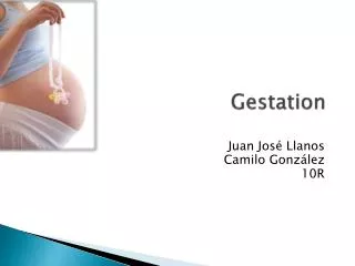 Gestation