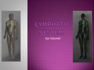 Lymphatic System