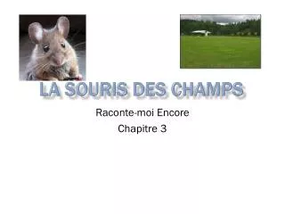 la souris des champs