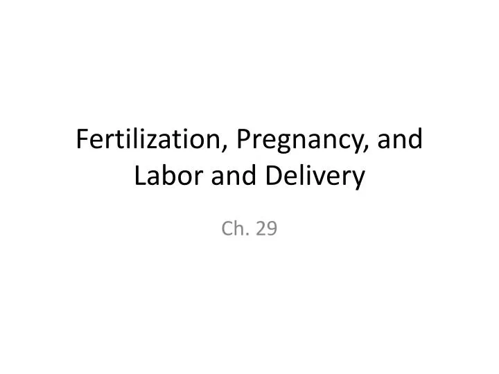 fertilization pregnancy and labor and delivery