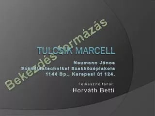 Tulcsik Marcell