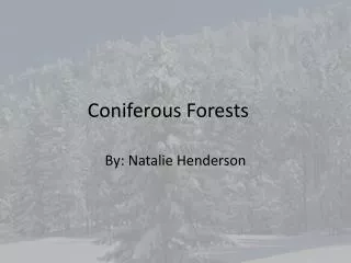 Coniferous Forests