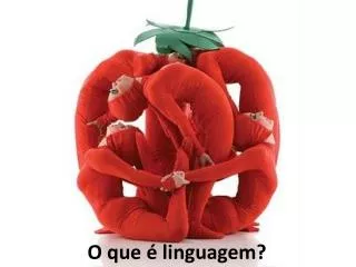 o que linguagem