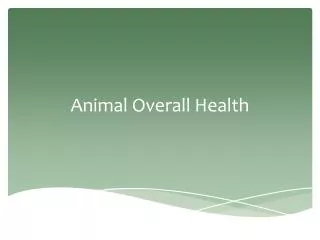 Animal Overall Health