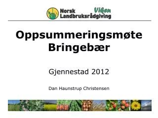 oppsummeringsm te bringeb r